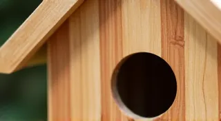 Bird House Finishing Techniques: Natural and Safe Options
