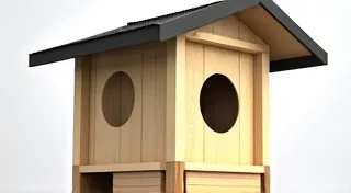 Bird House Ventilation and Drainage: Keeping Nests Healthy