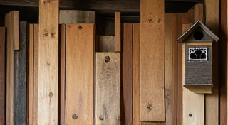 Bird House Materials: Choosing the Best Wood for Longevity